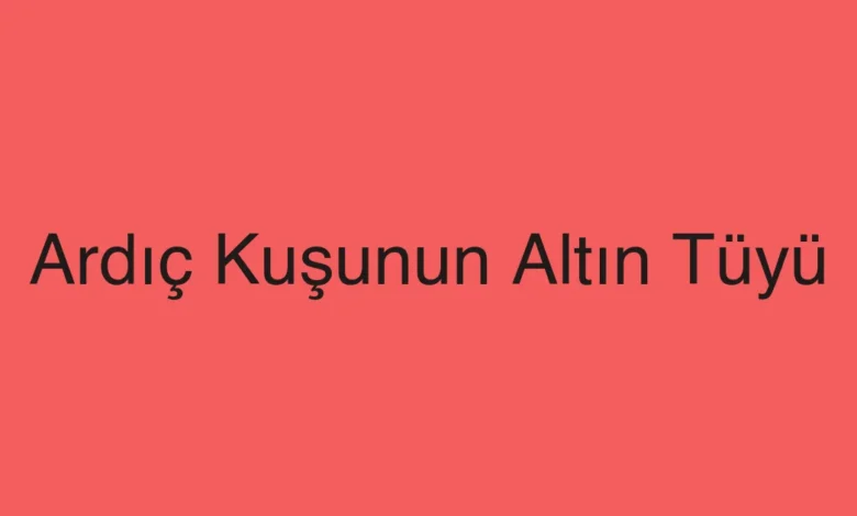 Ardıç Kuşunun Altın Tüyü