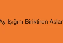 Ay Işığını Biriktiren Aslan