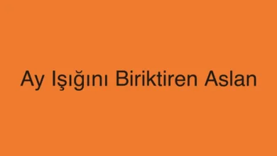 Ay Işığını Biriktiren Aslan