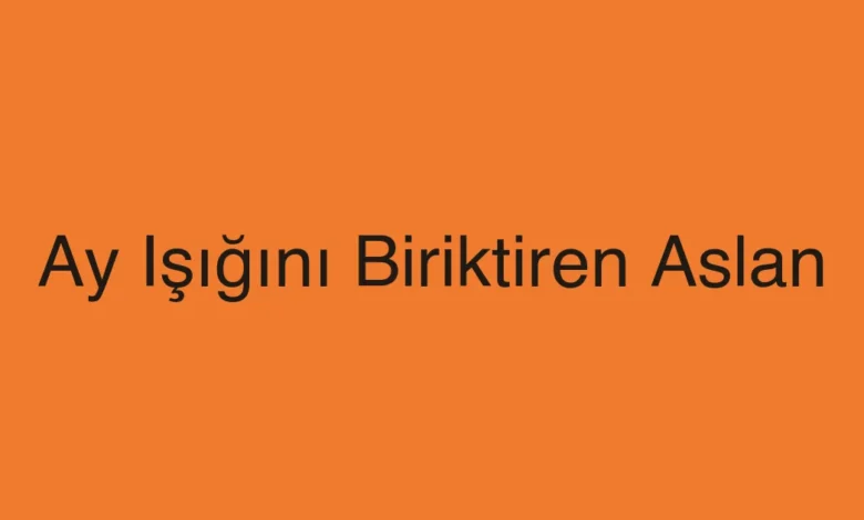 Ay Işığını Biriktiren Aslan