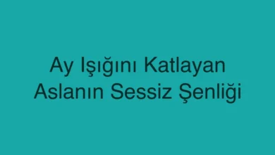 Ay Işığını Katlayan Aslanın Sessiz Şenliği