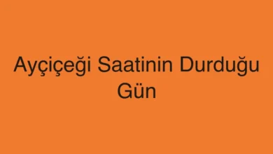 Ayçiçeği Saatinin Durduğu Gün