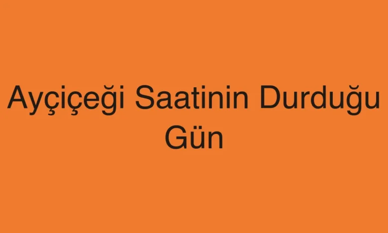 Ayçiçeği Saatinin Durduğu Gün