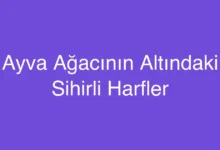 Ayva Ağacının Altındaki Sihirli Harfler