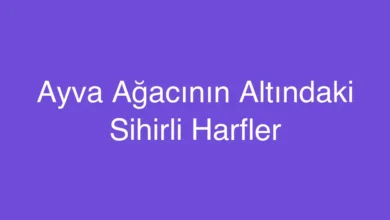 Ayva Ağacının Altındaki Sihirli Harfler