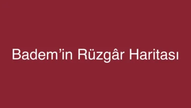 Badem’in Rüzgâr Haritası