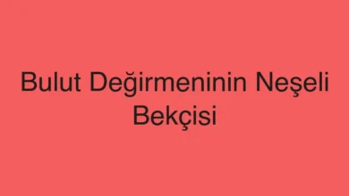 Bulut Değirmeninin Neşeli Bekçisi