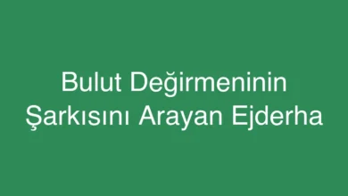 Bulut Değirmeninin Şarkısını Arayan Ejderha