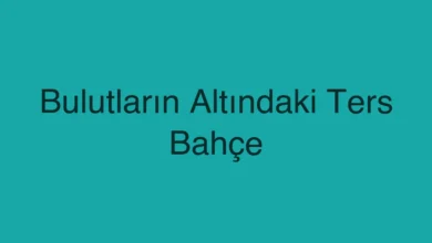 Bulutların Altındaki Ters Bahçe
