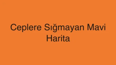Ceplere Sığmayan Mavi Harita