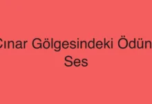 Çınar Gölgesindeki Ödünç Ses