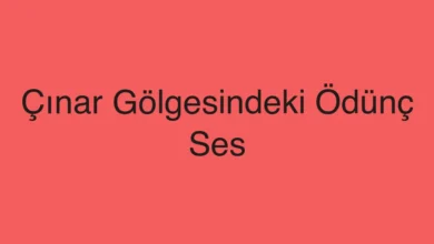 Çınar Gölgesindeki Ödünç Ses