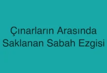 Çınarların Arasında Saklanan Sabah Ezgisi
