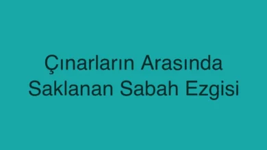 Çınarların Arasında Saklanan Sabah Ezgisi