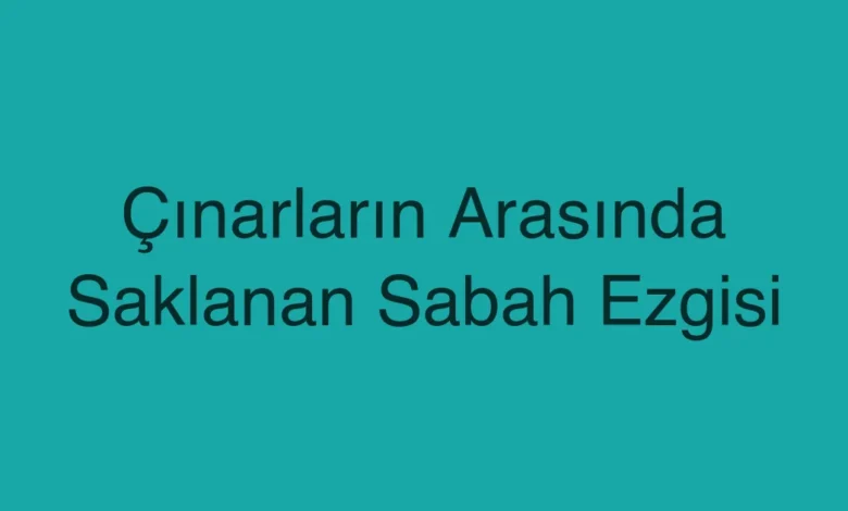Çınarların Arasında Saklanan Sabah Ezgisi