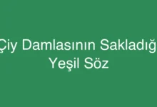 Çiy Damlasının Sakladığı Yeşil Söz