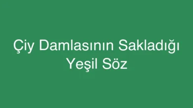 Çiy Damlasının Sakladığı Yeşil Söz