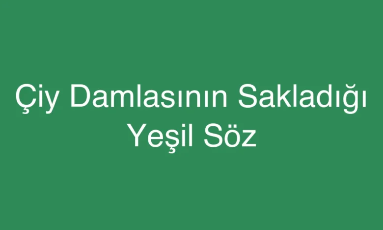 Çiy Damlasının Sakladığı Yeşil Söz