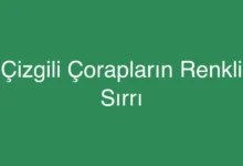 Çizgili Çorapların Renkli Sırrı