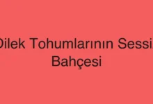 Dilek Tohumlarının Sessiz Bahçesi