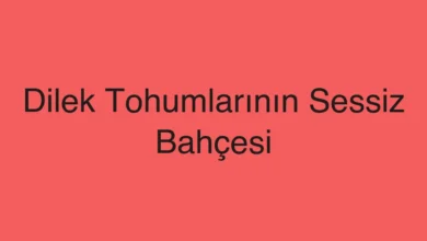 Dilek Tohumlarının Sessiz Bahçesi