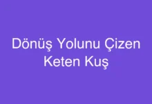 Dönüş Yolunu Çizen Keten Kuş