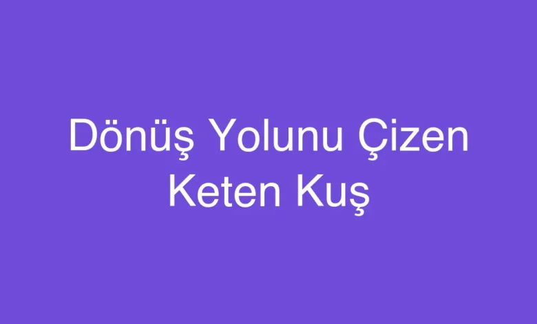 Dönüş Yolunu Çizen Keten Kuş