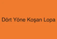 Dört Yöne Koşan Lopa