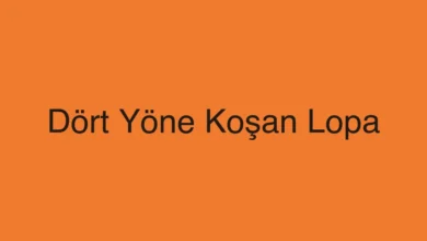 Dört Yöne Koşan Lopa