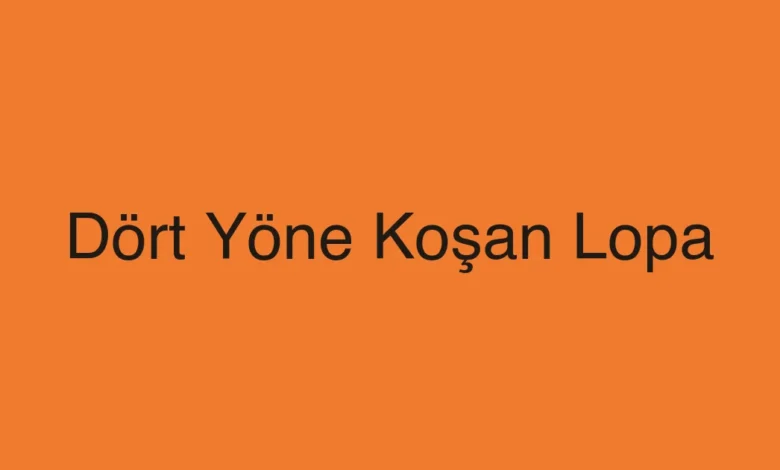 Dört Yöne Koşan Lopa