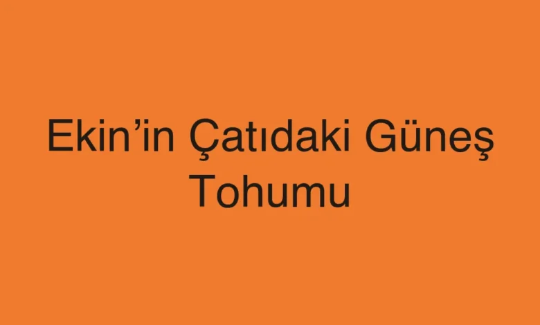Ekin’in Çatıdaki Güneş Tohumu