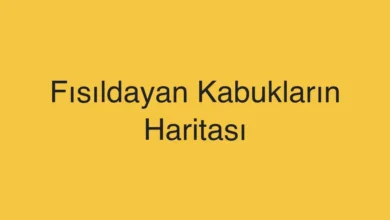 Fısıldayan Kabukların Haritası