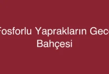 Fosforlu Yaprakların Gece Bahçesi
