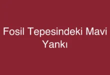 Fosil Tepesindeki Mavi Yankı