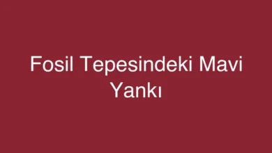 Fosil Tepesindeki Mavi Yankı