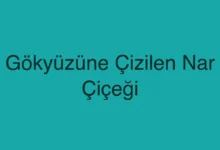 Gökyüzüne Çizilen Nar Çiçeği