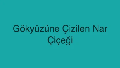 Gökyüzüne Çizilen Nar Çiçeği