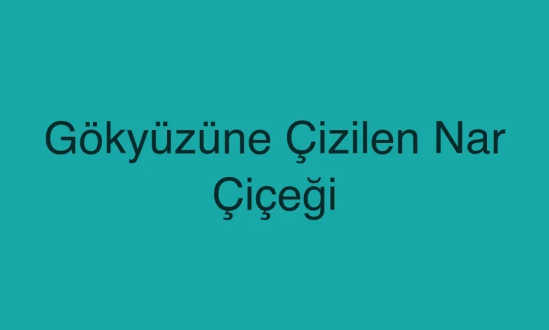 Gökyüzüne Çizilen Nar Çiçeği