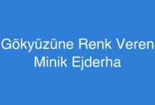 Gökyüzüne Renk Veren Minik Ejderha