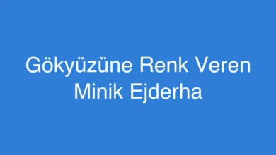 Gökyüzüne Renk Veren Minik Ejderha