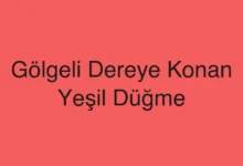 Gölgeli Dereye Konan Yeşil Düğme