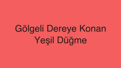 Gölgeli Dereye Konan Yeşil Düğme