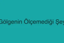 Gölgenin Ölçemediği Şey