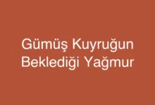 Gümüş Kuyruğun Beklediği Yağmur