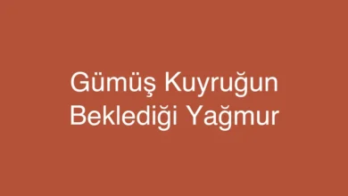 Gümüş Kuyruğun Beklediği Yağmur