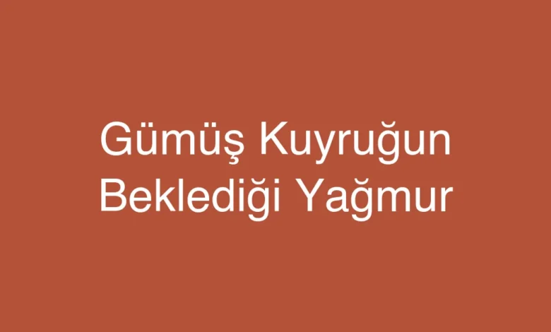 Gümüş Kuyruğun Beklediği Yağmur