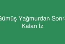 Gümüş Yağmurdan Sonra Kalan İz