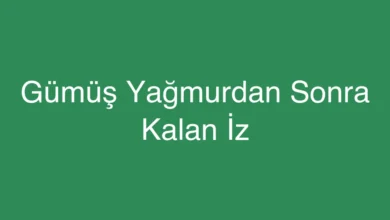 Gümüş Yağmurdan Sonra Kalan İz
