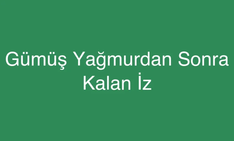 Gümüş Yağmurdan Sonra Kalan İz