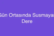 Gün Ortasında Susmayan Dere